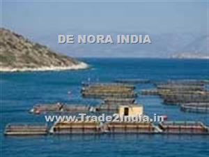 > </div>
<div class=